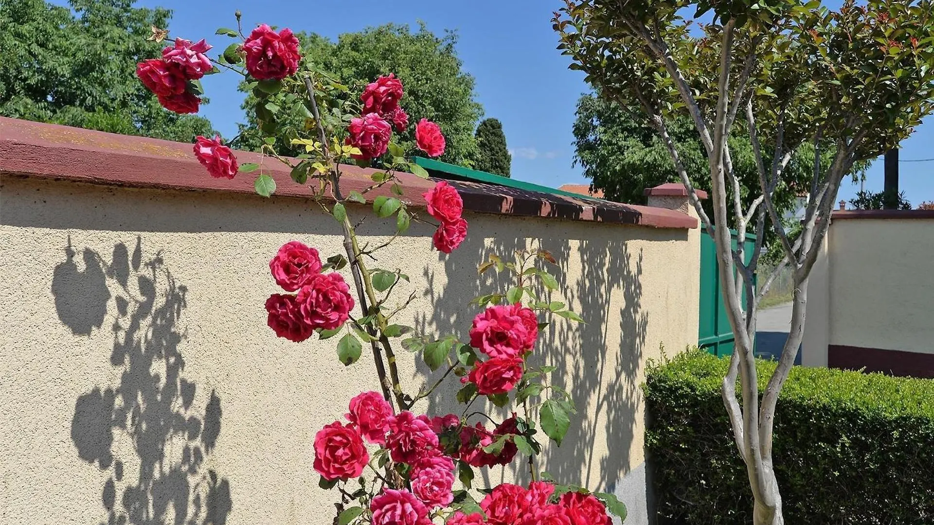 Ferienhaus Mit Privatpool Fuer 4 Personen Ca 30 Qm In Pula, Istrien Istrische Riviera Pula